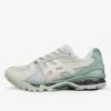 Asics Gel-Kayano 14