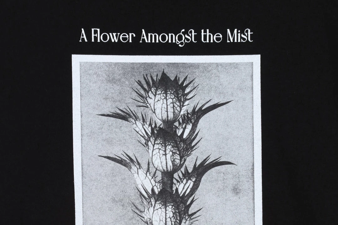 Flash Sale ⌛ Afield Out Acanthus Tee ✔️ 4 Afield Out Acanthus Tee