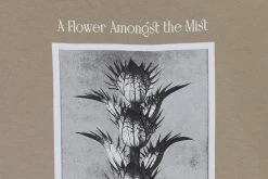 Wholesale π Tees Afield Out Acanthus Tee π 7 Tees Afield Out Acanthus Tee