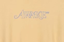 Awake Classic Outline Logo Paneled Embroidered Hoodie