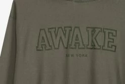 Awake Block Logo Hoodie Sweats & Hoods