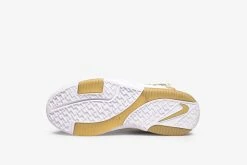 Nike Zoom Lebron II Footwear