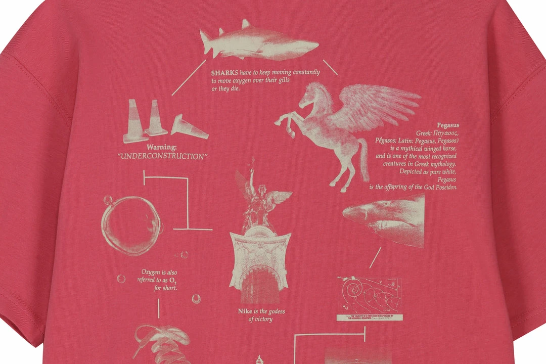 Cheapest 𧨠Nike NK NRG Pegasus Tee β 5 Nike NK NRG Pegasus Tee