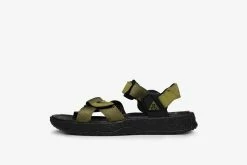 Nike ACG Air Deschutz+