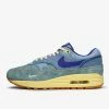 Nike Air Max 1 PRM Footwear