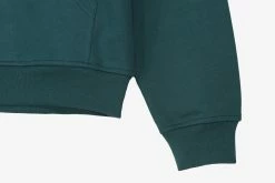 Futur Freeze Hoodie Sweats & Hoods