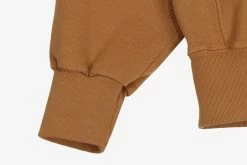 Aries Premium Temple Sweatshirt Sweats & Hoods